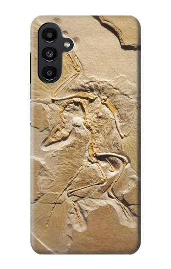 S0380 Dinosaur Fossil Case For Samsung Galaxy A13 5G