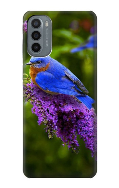 S1565 Bluebird of Happiness Blue Bird Case For Motorola Moto G31