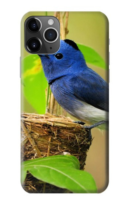 S3839 Bluebird of Happiness Blue Bird Case For iPhone 11 Pro