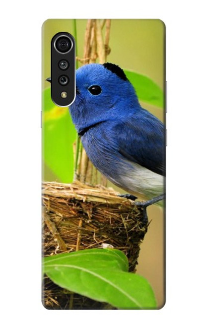 S3839 Bluebird of Happiness Blue Bird Case For LG Velvet