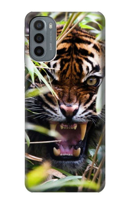S3838 Barking Bengal Tiger Case For Motorola Moto G31