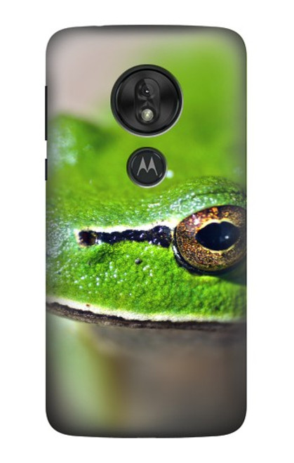 S3845 Green frog Case For Motorola Moto G7 Play