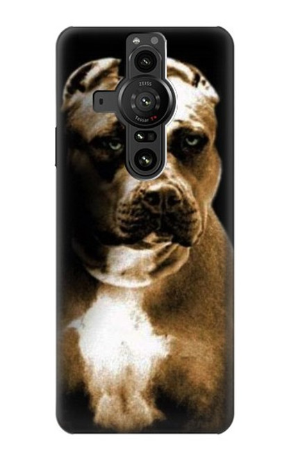 S0520 PitBull Case For Sony Xperia Pro-I