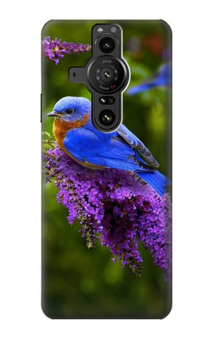 S1565 Bluebird of Happiness Blue Bird Case For Sony Xperia Pro-I