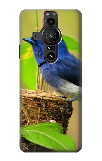 S3839 Bluebird of Happiness Blue Bird Case For Sony Xperia Pro-I