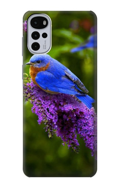 S1565 Bluebird of Happiness Blue Bird Case For Motorola Moto G22