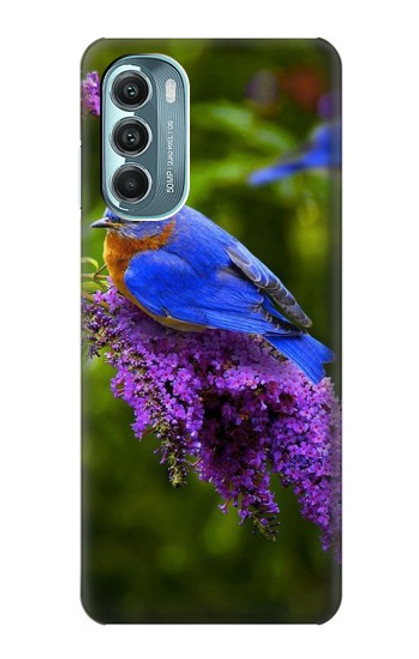 S1565 Bluebird of Happiness Blue Bird Case For Motorola Moto G Stylus 5G (2022)