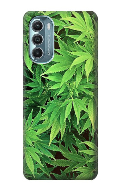 S1656 Marijuana Plant Case For Motorola Moto G Stylus 5G (2022)