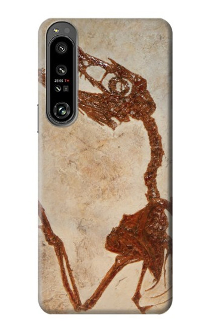 S0379 Dinosaur Fossil Case For Sony Xperia 1 IV