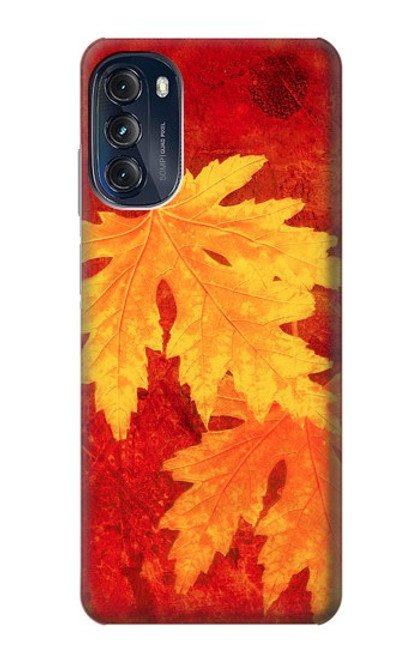 S0479 Maple Leaf Case For Motorola Moto G (2022)