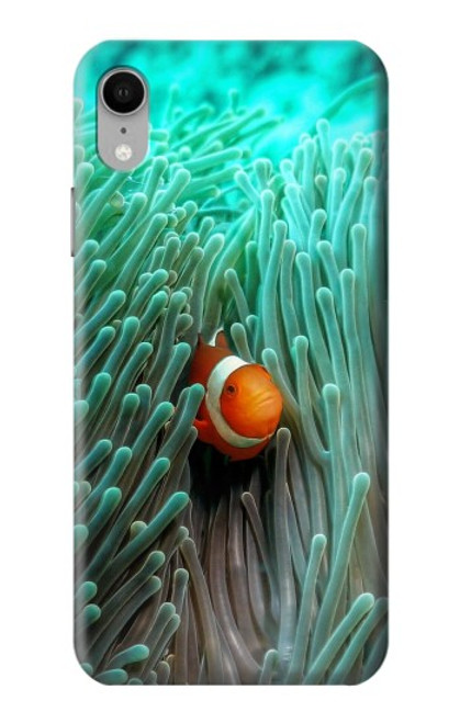 S3893 Ocellaris clownfish Case For iPhone XR