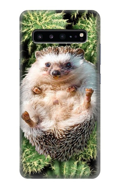 S3863 Pygmy Hedgehog Dwarf Hedgehog Paint Case For Samsung Galaxy S10 5G