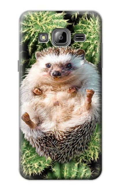 S3863 Pygmy Hedgehog Dwarf Hedgehog Paint Case For Samsung Galaxy J3 (2016)