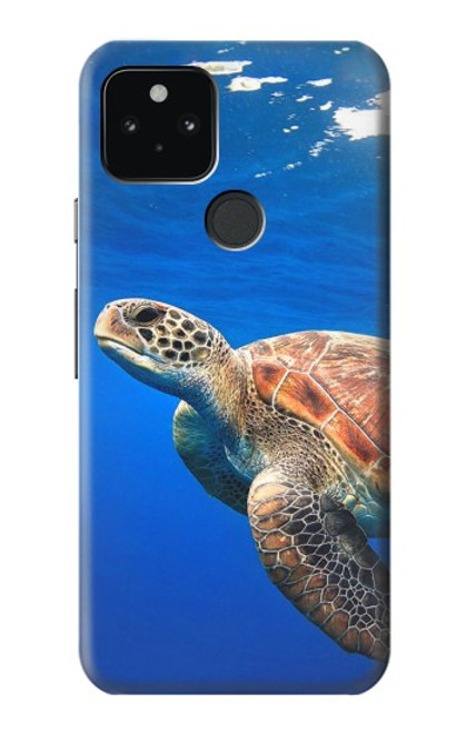 S3898 Sea Turtle Case For Google Pixel 5