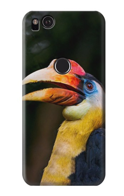 S3876 Colorful Hornbill Case For Google Pixel 2