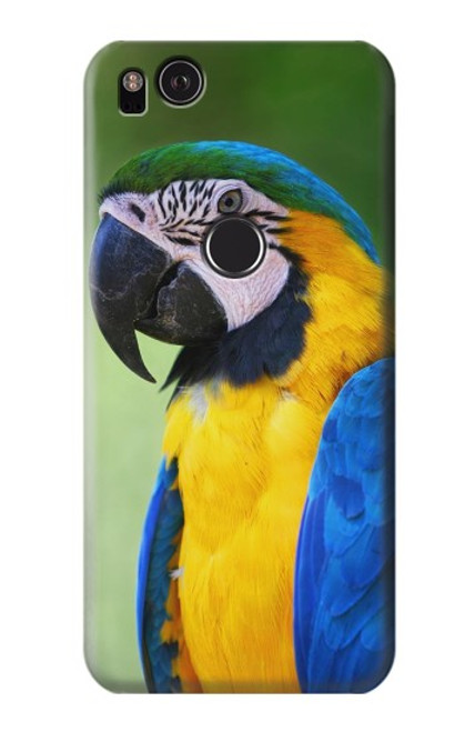 S3888 Macaw Face Bird Case For Google Pixel 2