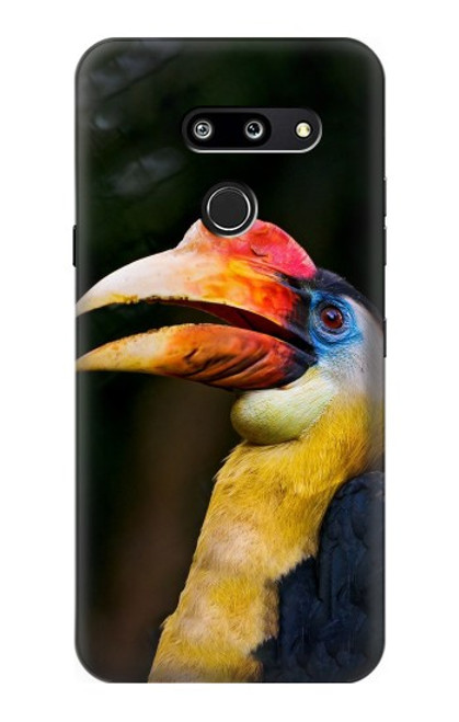 S3876 Colorful Hornbill Case For LG G8 ThinQ