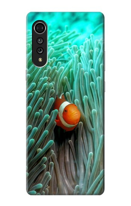 S3893 Ocellaris clownfish Case For LG Velvet