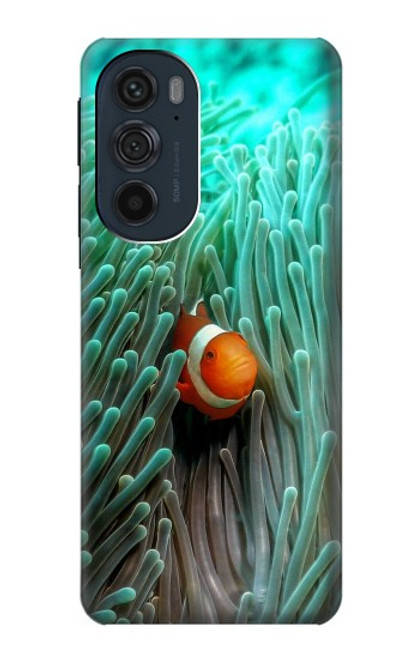 S3893 Ocellaris clownfish Case For Motorola Edge 30 Pro