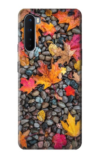 S3889 Maple Leaf Case For OnePlus Nord