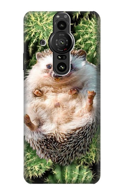 S3863 Pygmy Hedgehog Dwarf Hedgehog Paint Case For Sony Xperia Pro-I