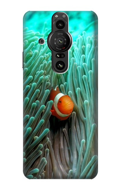 S3893 Ocellaris clownfish Case For Sony Xperia Pro-I