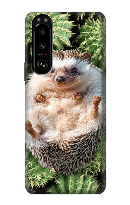 S3863 Pygmy Hedgehog Dwarf Hedgehog Paint Case For Sony Xperia 5 III