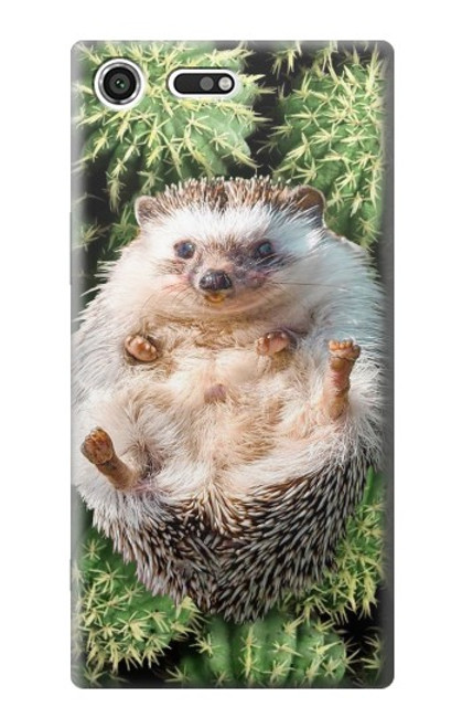 S3863 Pygmy Hedgehog Dwarf Hedgehog Paint Case For Sony Xperia XZ Premium