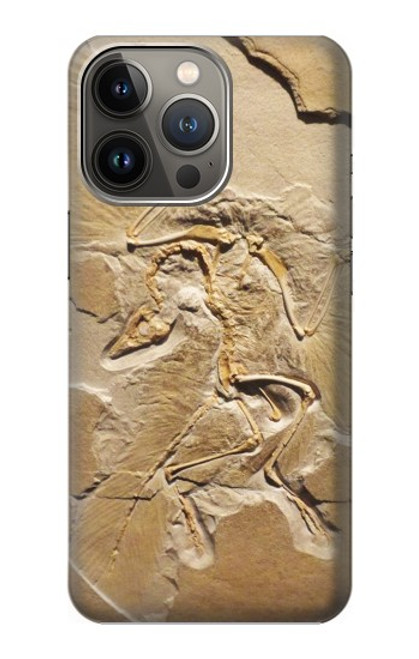 S0380 Dinosaur Fossil Case For iPhone 14 Pro Max