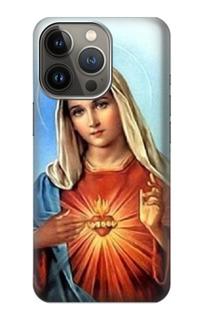 S2420 The Virgin Mary Santa Maria Case For iPhone 14 Pro Max