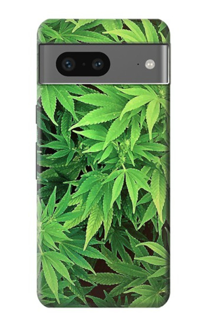 S1656 Marijuana Plant Case For Google Pixel 7