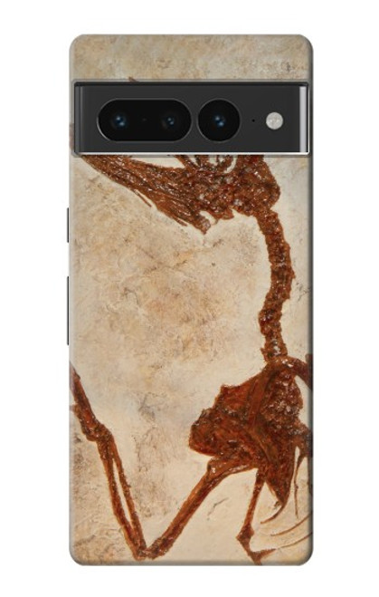 S0379 Dinosaur Fossil Case For Google Pixel 7 Pro