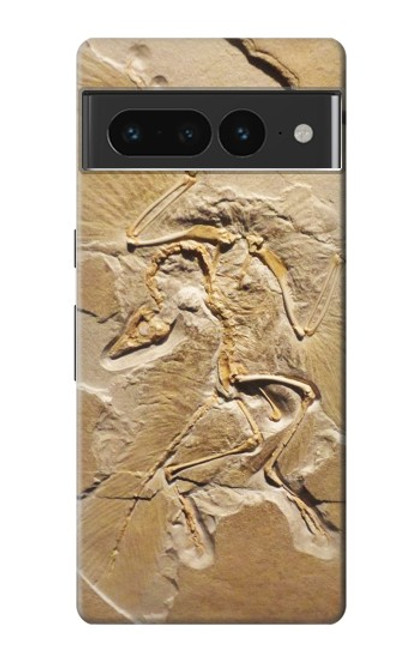 S0380 Dinosaur Fossil Case For Google Pixel 7 Pro