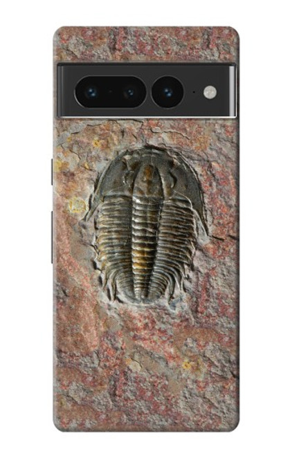 S1454 Trilobite Fossil Case For Google Pixel 7 Pro