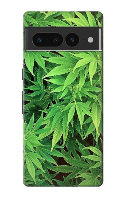 S1656 Marijuana Plant Case For Google Pixel 7 Pro