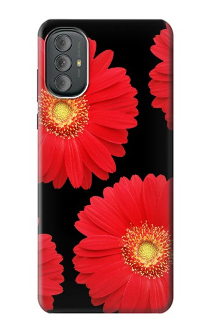 S2478 Red Daisy flower Case For Motorola Moto G Power 2022, G Play 2023