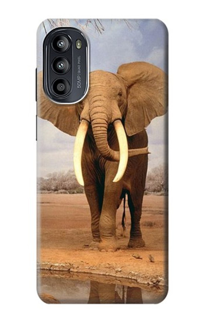 S0310 African Elephant Case For Motorola Moto G52, G82 5G