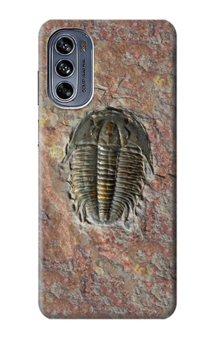 S1454 Trilobite Fossil Case For Motorola Moto G62 5G
