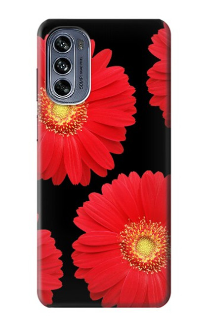 S2478 Red Daisy flower Case For Motorola Moto G62 5G