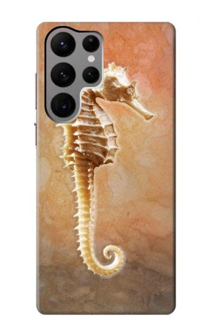 S2674 Seahorse Skeleton Fossil Case For Samsung Galaxy S23 Ultra