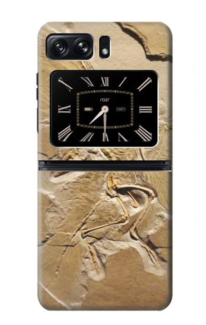 S0380 Dinosaur Fossil Case For Motorola Moto Razr 2022