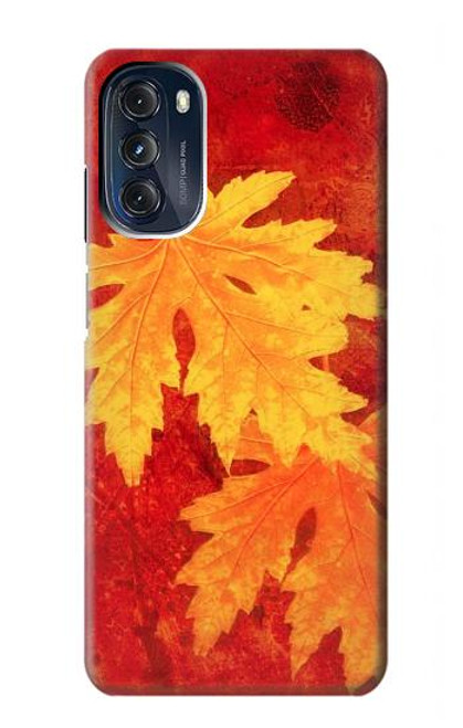 S0479 Maple Leaf Case For Motorola Moto G 5G (2023)