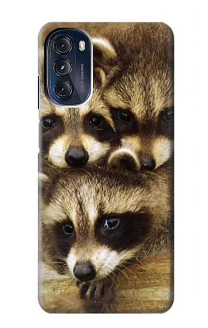 S0977 Baby Raccoons Case For Motorola Moto G 5G (2023)