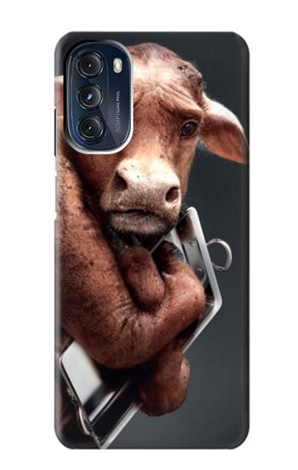 S1271 Crazy Cow Case For Motorola Moto G 5G (2023)