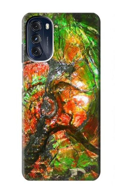 S2694 Ammonite Fossil Case For Motorola Moto G 5G (2023)