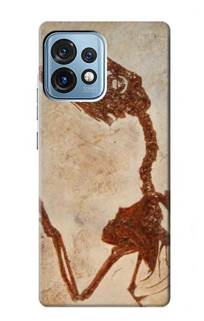 S0379 Dinosaur Fossil Case For Motorola Edge+ (2023), X40, X40 Pro, Edge 40 Pro