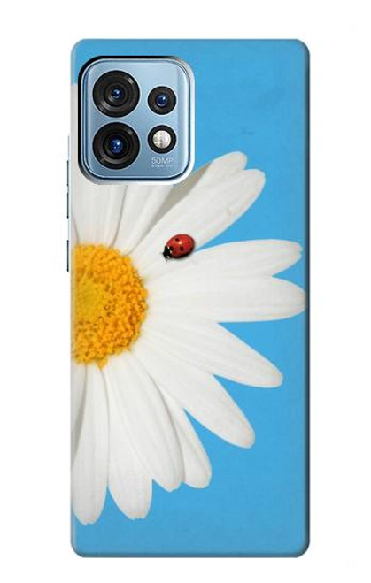 S3043 Vintage Daisy Lady Bug Case For Motorola Edge+ (2023), X40, X40 Pro, Edge 40 Pro