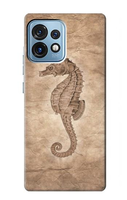 S3214 Seahorse Skeleton Fossil Case For Motorola Edge+ (2023), X40, X40 Pro, Edge 40 Pro