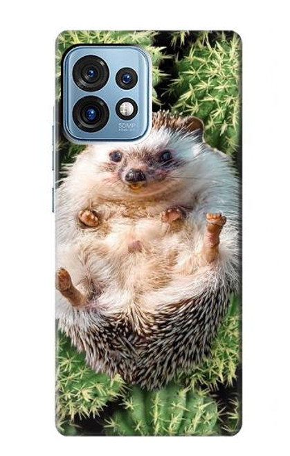 S3863 Pygmy Hedgehog Dwarf Hedgehog Paint Case For Motorola Edge+ (2023), X40, X40 Pro, Edge 40 Pro