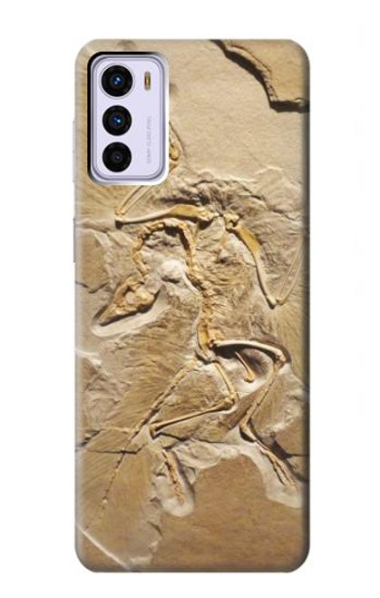 S0380 Dinosaur Fossil Case For Motorola Moto G42